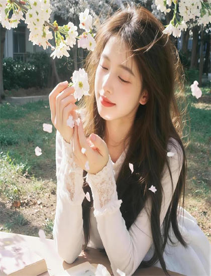 功夫兔与菜包狗 第一季美学价值分析教科书式的：艺术美感与审美特征探讨